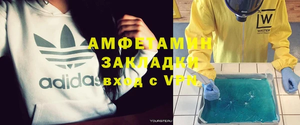 прущие грибы Покачи