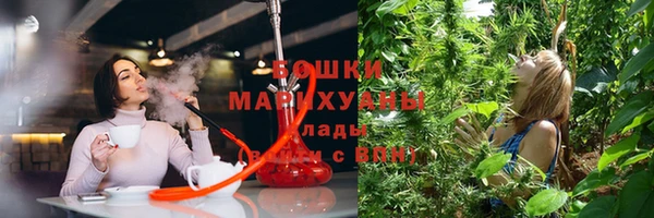 трава Нязепетровск