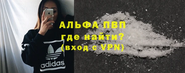 твердый Новодвинск