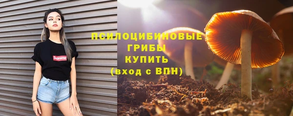 трава Нязепетровск