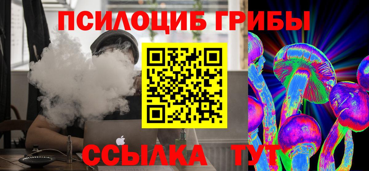 Галлюциногенные грибы Psilocybe  Галлюциногенные грибы мухоморы  хочу наркоту  Гурьевск 