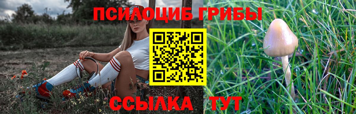Псилоцибиновые грибы Magic Shrooms Гурьевск