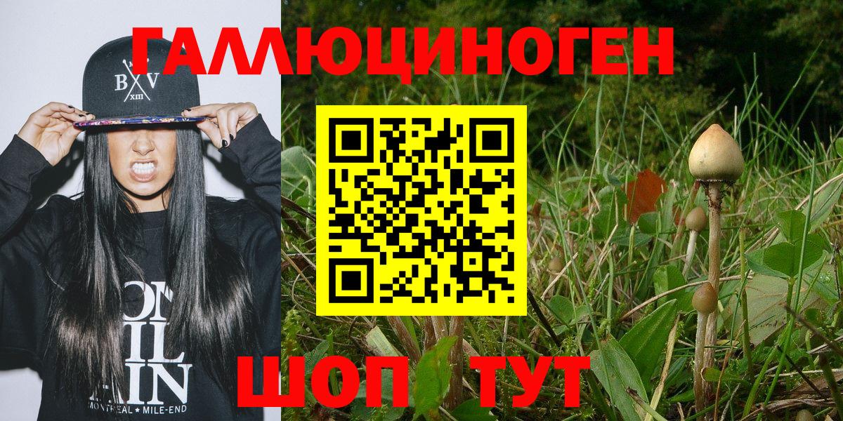 Гурьевск  Галлюциногенные грибы ЛСД  Вход с VPN 