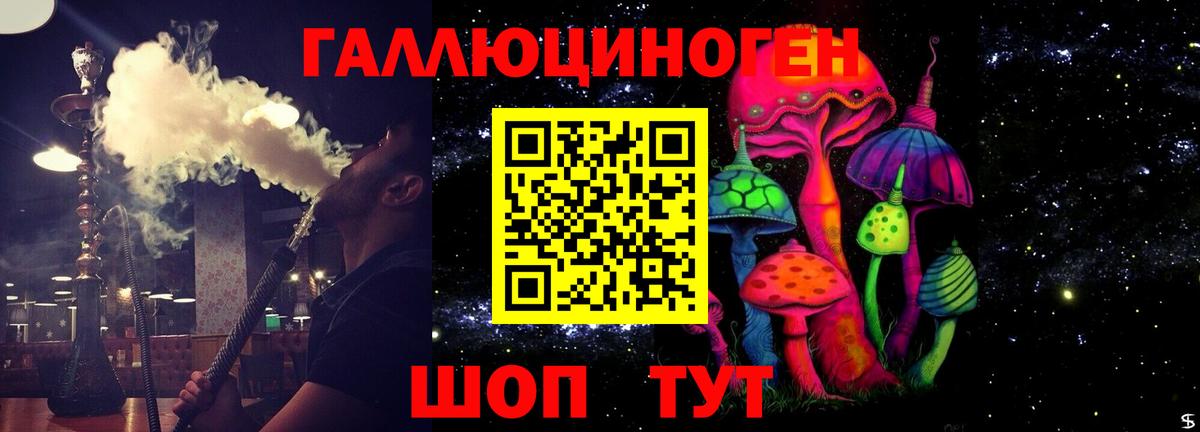 Псилоцибиновые грибы Psilocybe Гурьевск